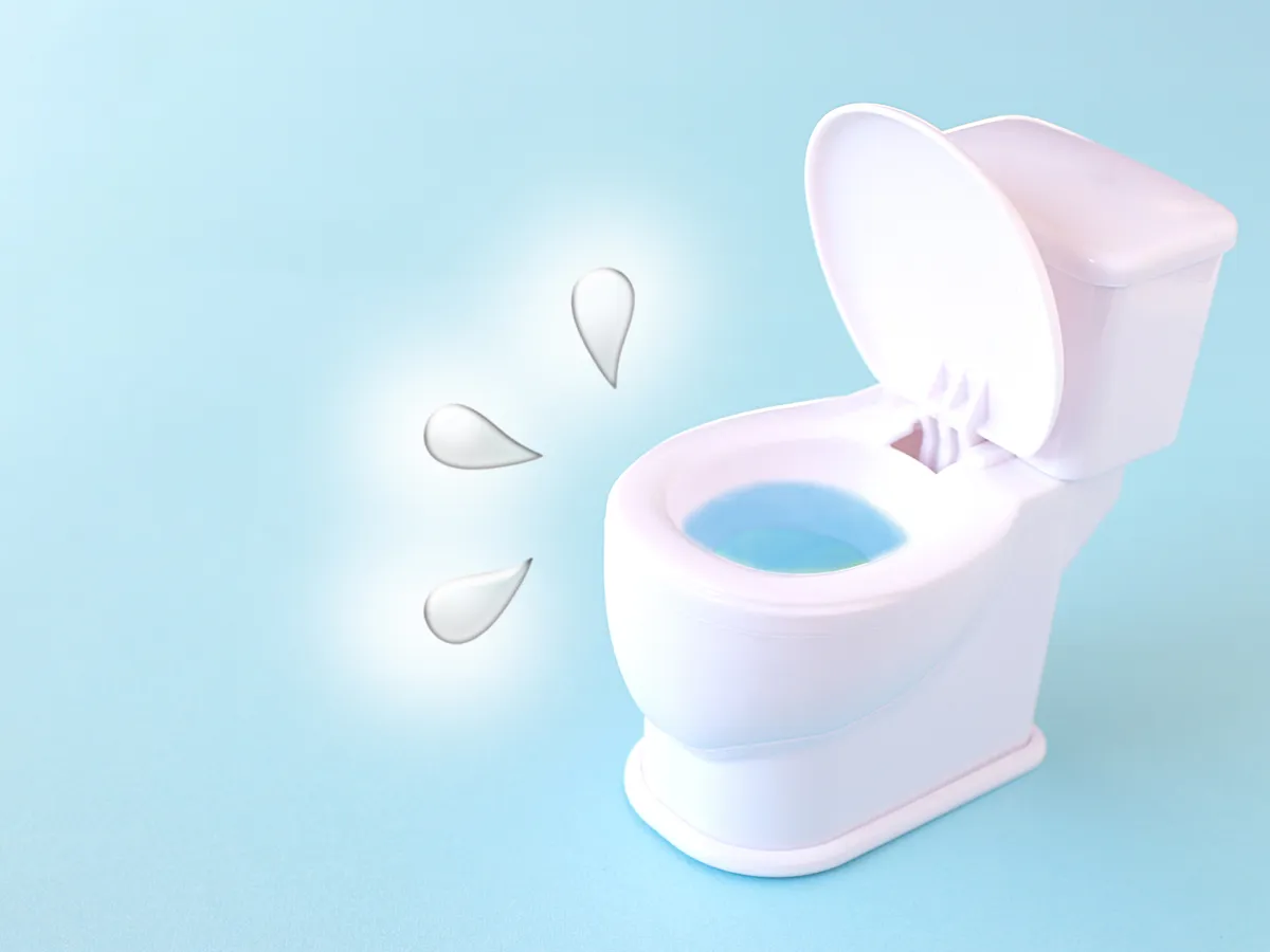 トイレの紙つまり